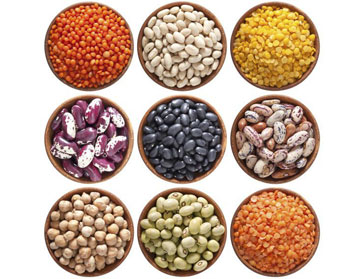 legumes